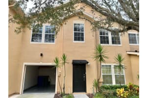 16304 Parkstone Palms Ct, TAMPA