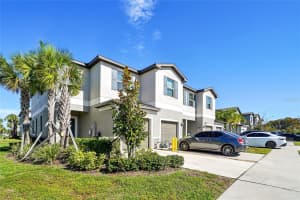 8299 BIRCH HAVEN LANE, NEW PORT RICHEY, FL 34655 - MLS#MFRTB8452898