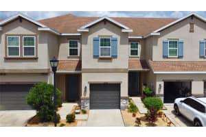 12355 BAYOU FLATS LANE, TAMPA, FL 33635 - MLS#MFRTB8452899