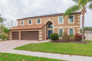 29815 PRAIRIE FALCON DRIVE, WESLEY CHAPEL, FL 33545 - MLS#MFRTB8452940