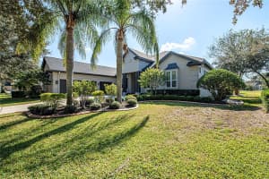 3716 JANUS WAY, PALM HARBOR, FL 34685 - MLS#MFRTB8452948