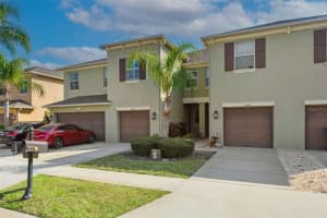 9568 Trumpet Vine Loop, TRINITY