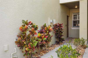 9568 TRUMPET VINE LOOP, TRINITY, FL 34655 - MLS#MFRTB8452953