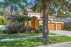 10112 CARAWAY SPICE AVENUE, RIVERVIEW, FL 33578 - MLS#MFRTB8452965