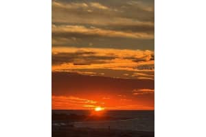 800 COLLANY ROAD, ST PETERSBURG, FL 33715 - MLS#MFRTB8452983