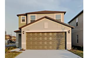 4702 Summer Savory St, TAMPA 4702 Summer Savory St, TAMPA