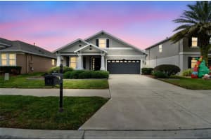 21717 BILLOWY JAUNT DRIVE, LAND O LAKES, FL 34637 - MLS#MFRTB8453032
