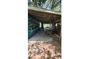 36445 TRILBY ROAD, DADE CITY, FL 33523 - MLS#MFRTB8453055