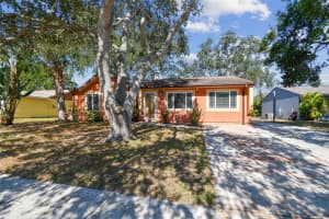 648 TIMBER BAY CIRCLE, OLDSMAR, FL 34677 - MLS#MFRTB8453084