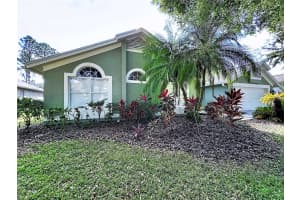 17307 LOCKWOOD RIDGE DRIVE, TAMPA, FL 33647 - MLS#MFRTB8453094