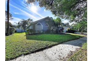 17307 LOCKWOOD RIDGE DRIVE, TAMPA, FL 33647 - MLS#MFRTB8453094