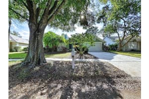 17307 LOCKWOOD RIDGE DRIVE, TAMPA, FL 33647 - MLS#MFRTB8453094