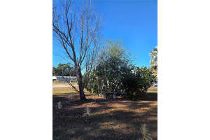 505 MURCOTT PLACE, VALRICO, FL 33594 - MLS#MFRTB8453122