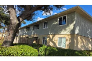 206 BERRY TREE PLACE, BRANDON, FL 33510 - MLS#MFRTB8453126