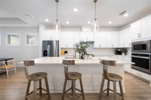 1536 GOPHER LOOP, TARPON SPRINGS, FL 34689 - MLS#MFRTB8453263