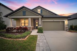 11223 Paddock Manor Ave, RIVERVIEW 11223 Paddock Manor Ave, RIVERVIEW