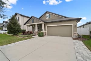 11223 PADDOCK MANOR AVENUE, RIVERVIEW, FL 33569 - MLS#MFRTB8453270