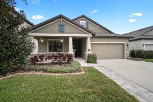 11223 PADDOCK MANOR AVENUE, RIVERVIEW, FL 33569 - MLS#MFRTB8453270