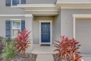 11909 BAHIA VALLEY DRIVE, RIVERVIEW, FL 33579 - MLS#MFRTB8453309
