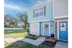 16139 RAMBLING VINE DRIVE, TAMPA, FL 33624 - MLS#MFRTB8453367