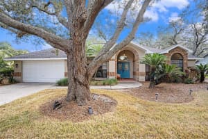 1619 PALACE COURT, VALRICO, FL 33594 - MLS#MFRTB8453378