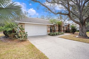 1619 PALACE COURT, VALRICO, FL 33594 - MLS#MFRTB8453378
