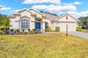 332 MCINTOSH COURT, SPRING HILL, FL 34609 - MLS#MFRTB8453399