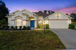 332 MCINTOSH COURT, SPRING HILL, FL 34609 - MLS#MFRTB8453399
