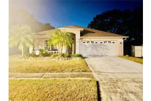 3041 Beaver Pond Trl, VALRICO 3041 Beaver Pond Trl, VALRICO