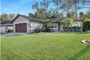 24473 PAINTER DRIVE, LAND O LAKES, FL 34639 - MLS#MFRTB8453438