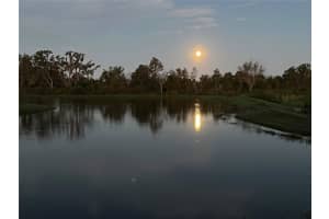 3847 SUNNY SPRING STREET, PLANT CITY, FL 33565 - MLS#MFRTB8453453