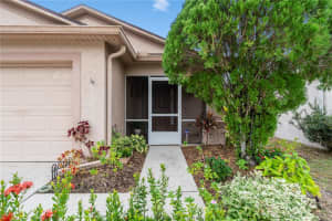 31052 MASENA DRIVE, WESLEY CHAPEL, FL 33545 - MLS#MFRTB8453454