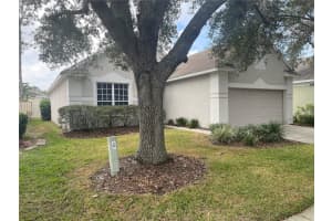 9307 HUNTINGTON PARK WAY, TAMPA, FL 33647 - MLS#MFRTB8453465