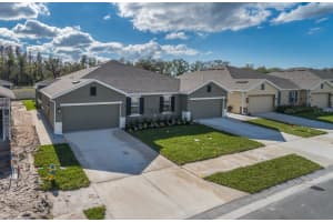 17897 TURNING LEAF CIRCLE, LAND O LAKES, FL 34638 - MLS#MFRTB8453496