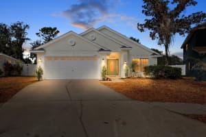 11112 GOLDENROD FERN DRIVE, RIVERVIEW, FL 33569 - MLS#MFRTB8453512