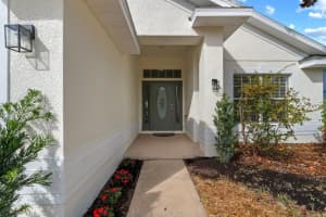 11112 GOLDENROD FERN DRIVE, RIVERVIEW, FL 33569 - MLS#MFRTB8453512