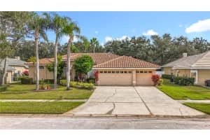 2387 HILLCREEK CIRCLE, CLEARWATER, FL 33759 - MLS#MFRTB8453520