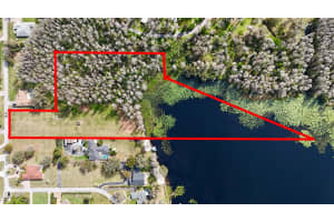 19218 BLOUNT ROAD, LUTZ, FL 33558 - MLS#MFRTB8453528