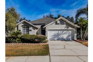 13419 Eudora Pl, TAMPA 13419 Eudora Pl, TAMPA