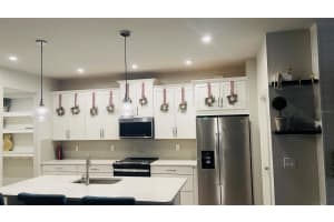 19411 MONARCH WIND WAY, LUTZ, FL 33558 - MLS#MFRTB8453597