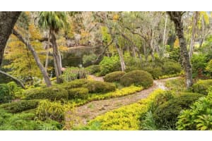 617 RIVERHILLS DRIVE, TEMPLE TERRACE, FL 33617 - MLS#MFRTB8453607