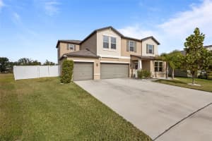 13549 WILLOW BLUESTAR LOOP, RIVERVIEW, FL 33579 - MLS#MFRTB8453612