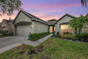 4208 PINE ISLE DRIVE, LUTZ, FL 33558 - MLS#MFRTB8453619