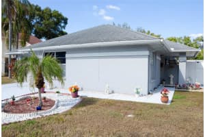 6021 LEMON TREE COURT, TAMPA, FL 33625 - MLS#MFRTB8453624