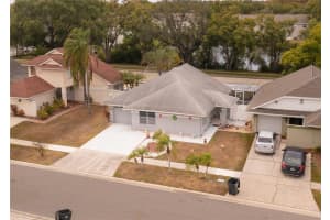 6021 LEMON TREE COURT, TAMPA, FL 33625 - MLS#MFRTB8453624