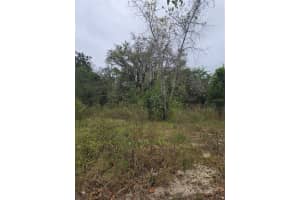 10142 MARKHAM STREET, NEW PORT RICHEY, FL 34654 Sold 12/29/25