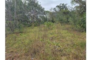 10142 MARKHAM STREET, NEW PORT RICHEY, FL 34654 Sold 12/29/25