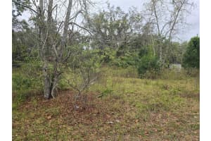 10142 MARKHAM STREET, NEW PORT RICHEY, FL 34654 Sold 12/29/25