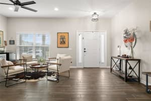 1216 MULTIFLORA LOOP, LUTZ, FL 33558 - MLS#MFRTB8453691