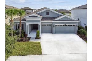 21987 EMORY OAK PLACE, LAND O LAKES, FL 34637 - MLS#MFRTB8453694